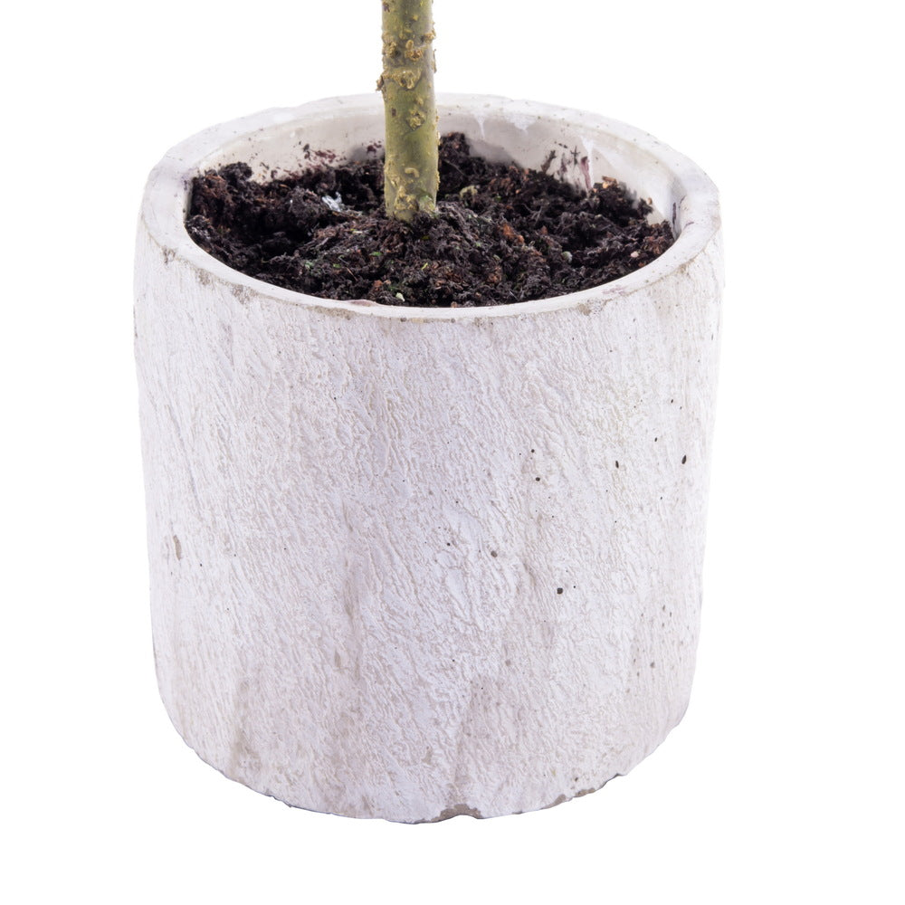 Vickerman 24" Artificial Green Cedar Sapling Potted.