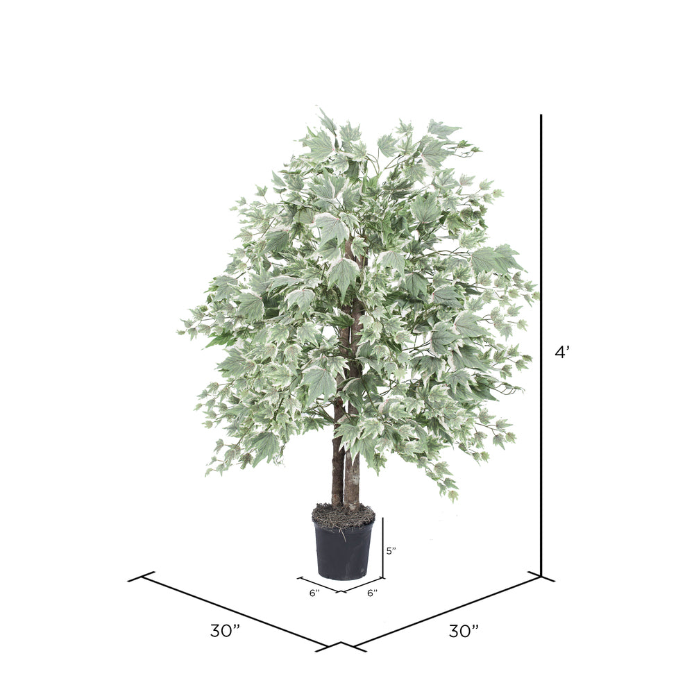Vickerman 4' Artificial Silver Maple Bush Black Plastic Pot.