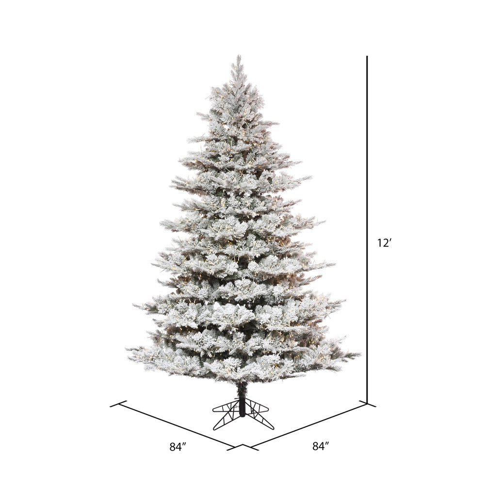 Vickerman 12' x 84" Flocked Kiana Christmas Tree Low Voltage LED Warm Lights