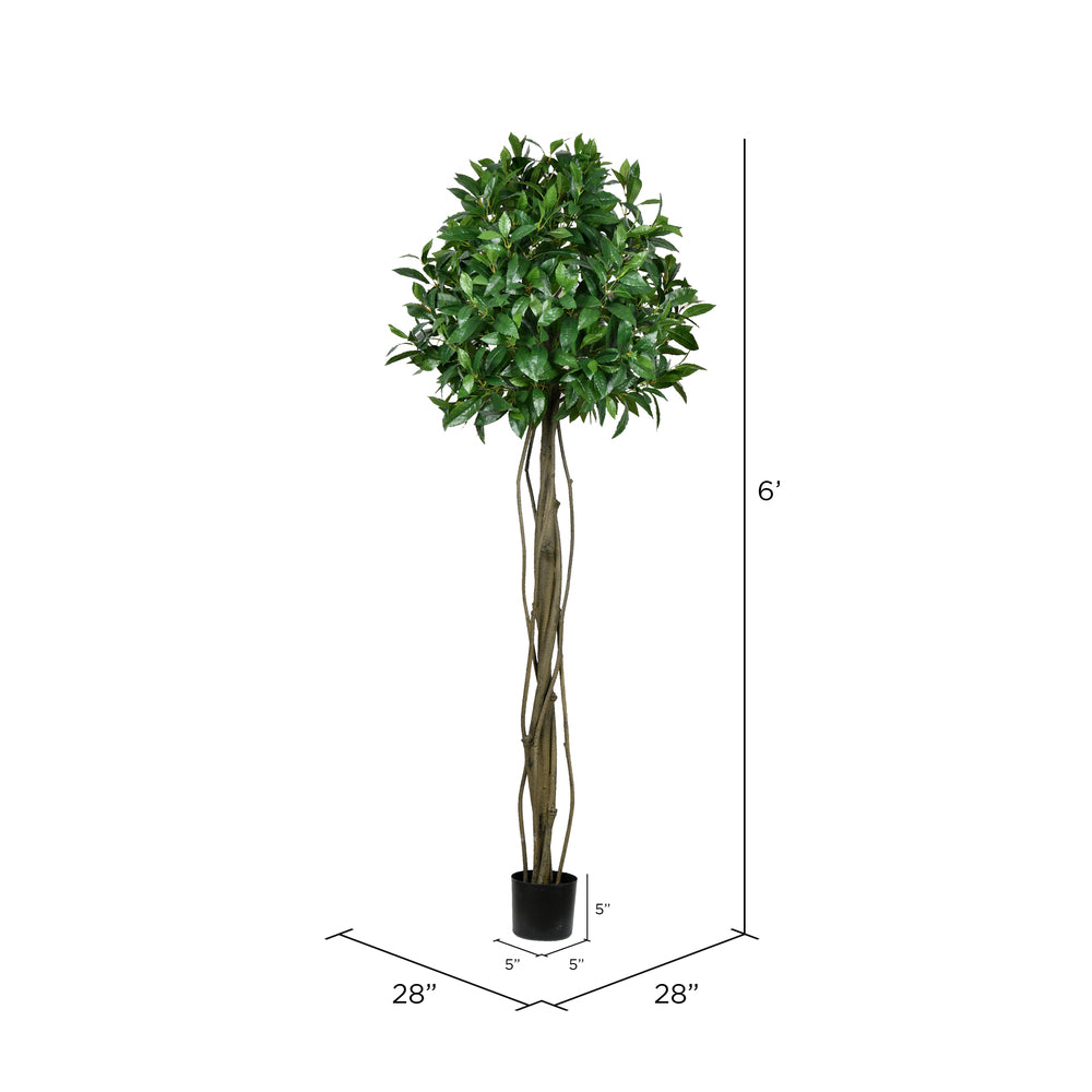 Vickerman 6' Artificial Potted Bay Leaf Topiary