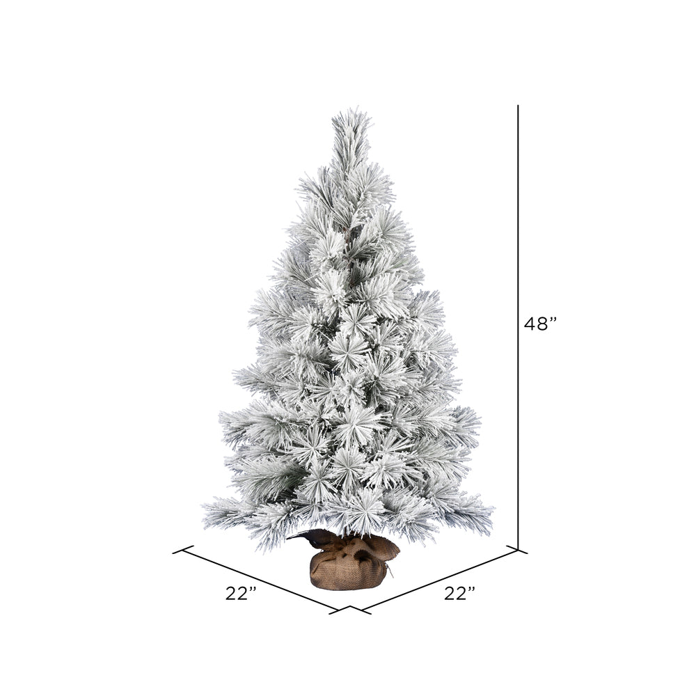 Vickerman 48" Frosted Beckett Pine Artificial Christmas Tree Unlit