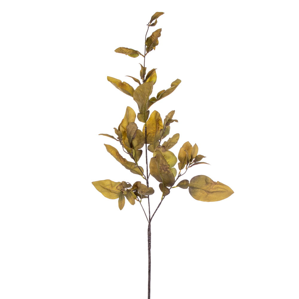 Vickerman 44.5" Green Artificial Dried Pomelo Leaves Spray 2 per bag.