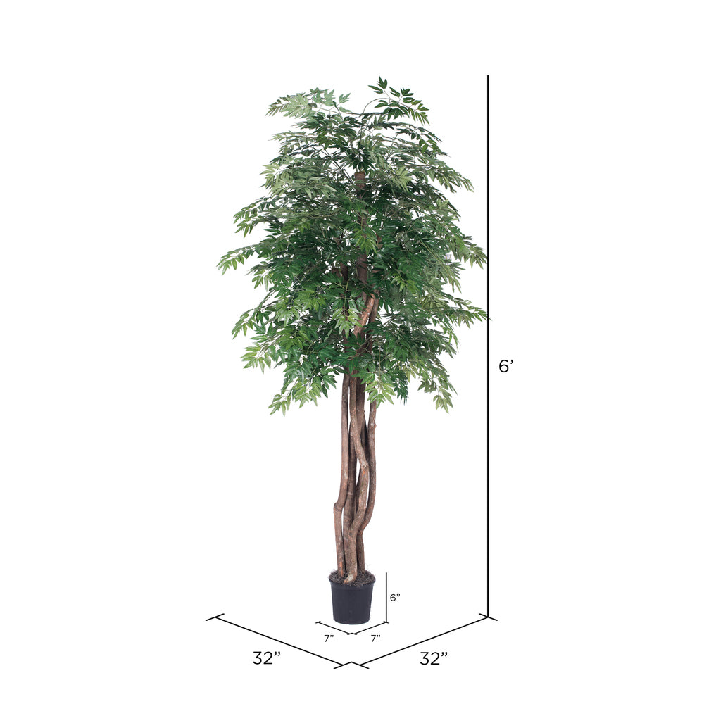 Vickerman 6' Artificial Ming Aralia Executive Black Plastic Pot