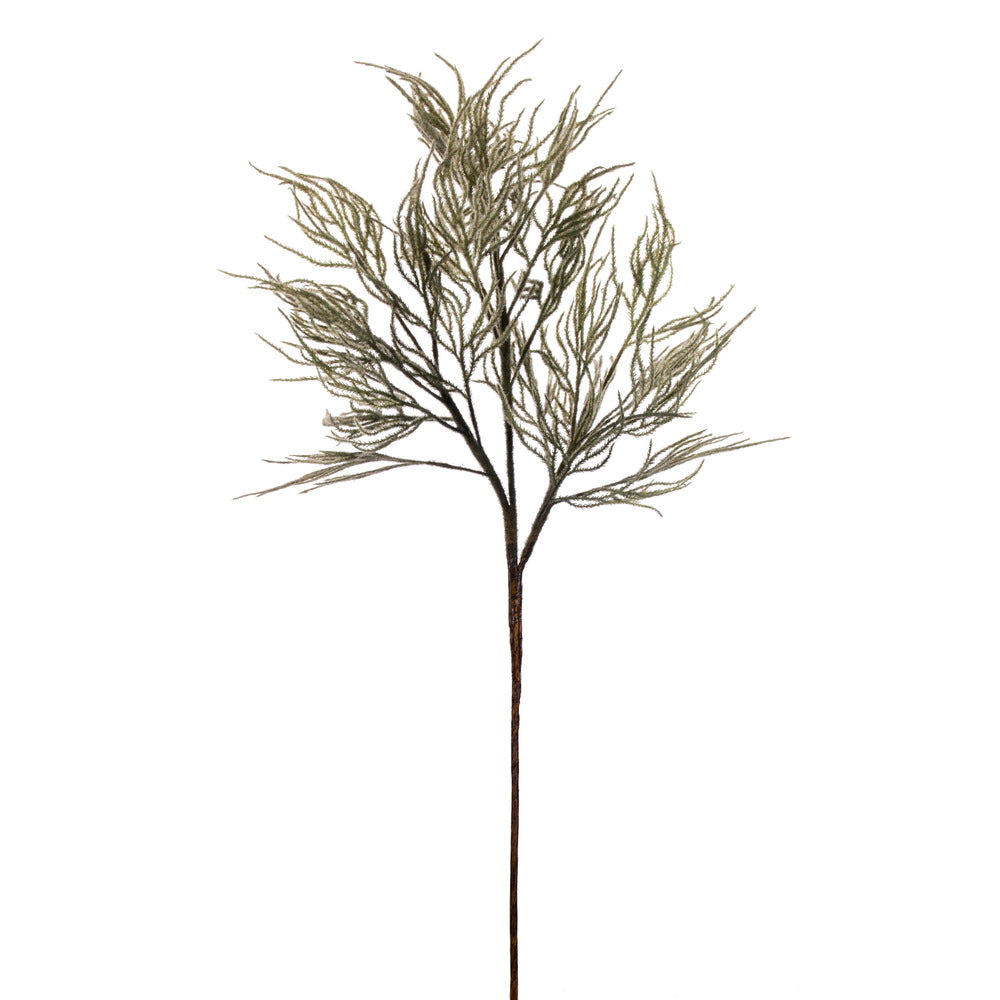 Vickerman 33" Light Green Reed Spray Bundle 2 per bundle.