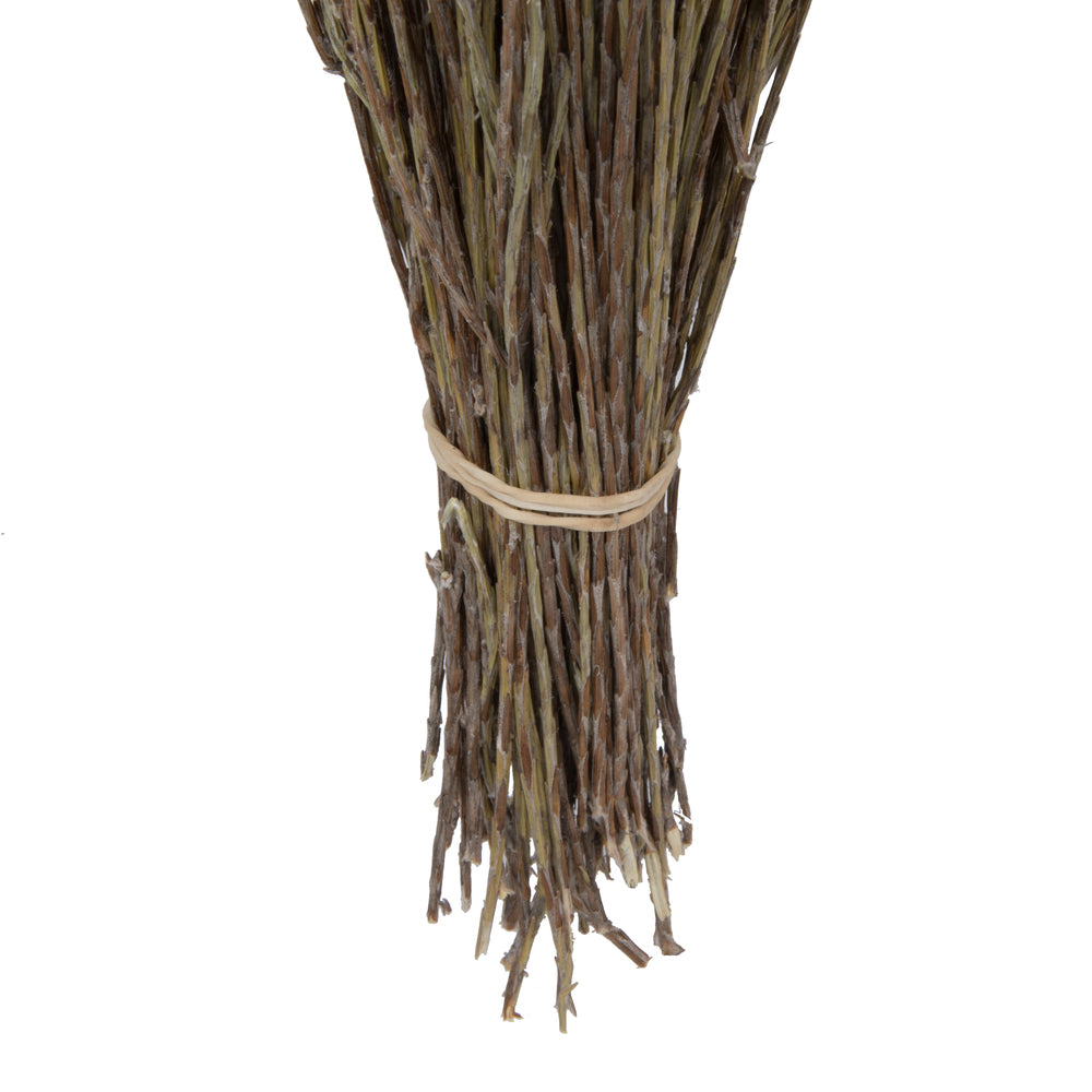 Vickerman Natural Botanicals 14" x 5" Everlasting Shiny White (hammer) 60 grams per unit
