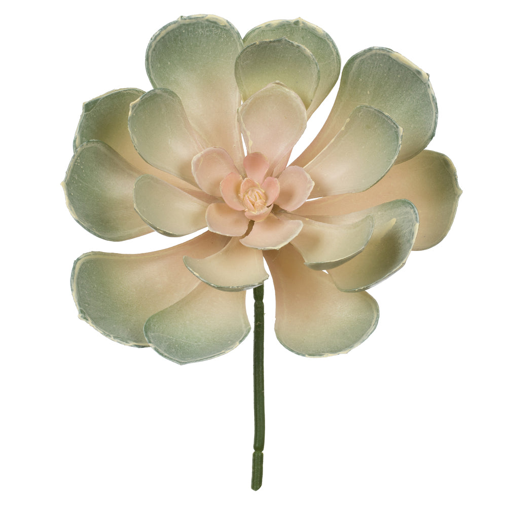 Vickerman 8.5" Artificial Assorted Echeveria Stems 6 per Bag