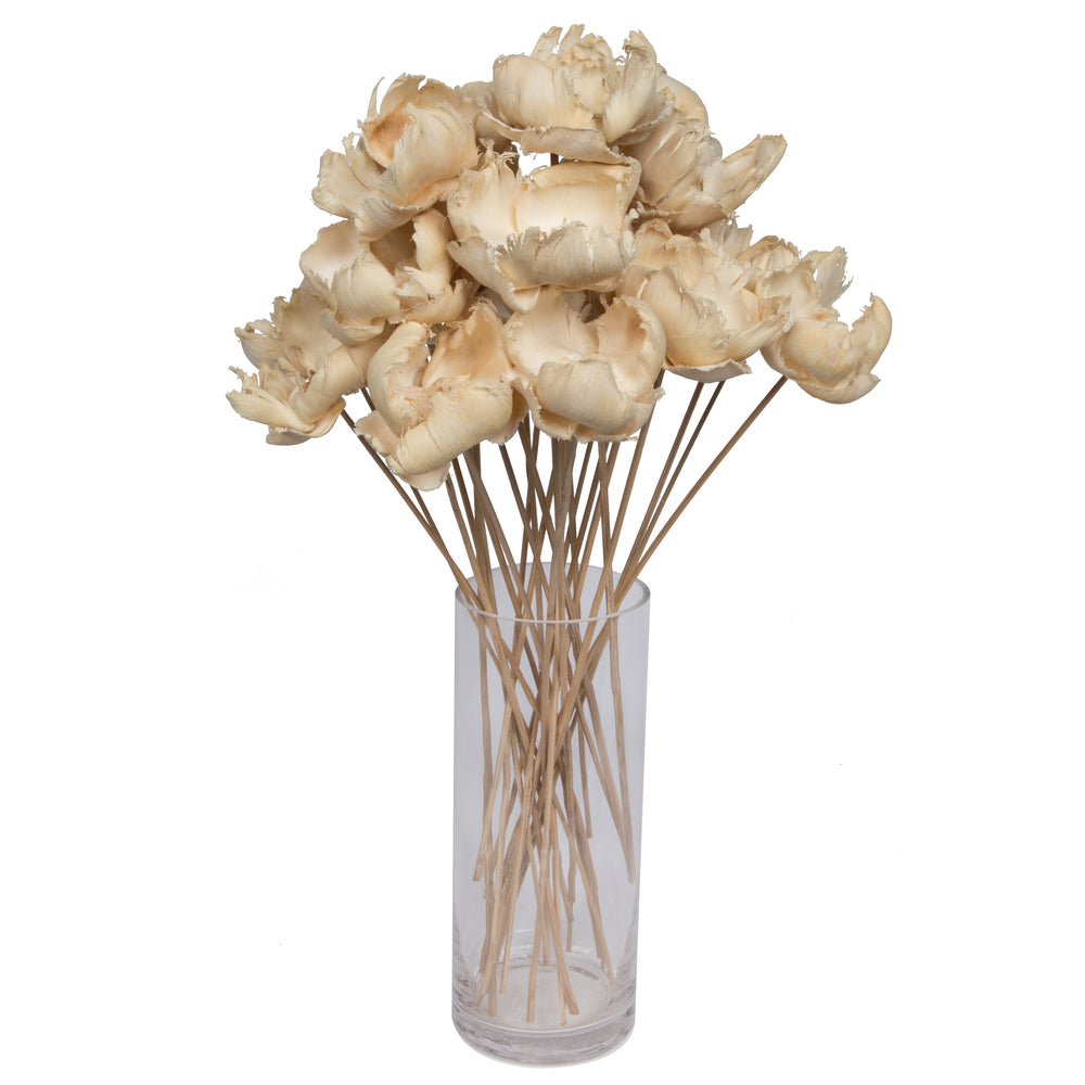 Vickerman Natural Botanicals 2.75" Palm Cap White Wash on Stem. Includes 25 pieces per Pack.