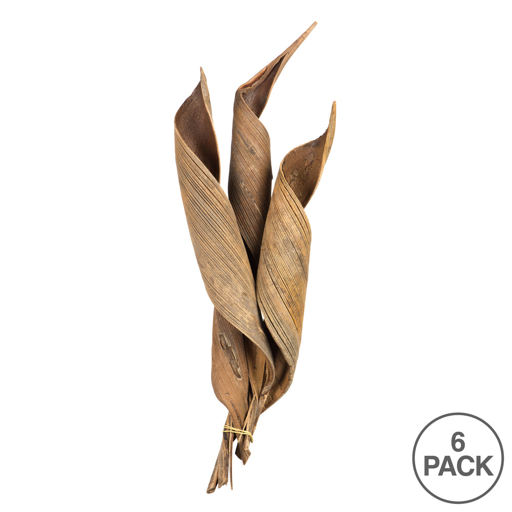 Vickerman 16 - 20" Natural Coco Paddle - Curled 6 Piece Bundle Dried