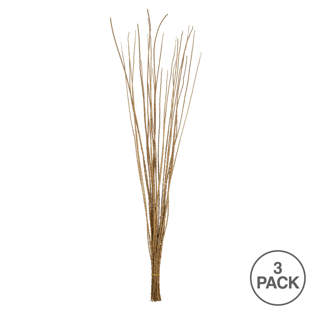 Vickerman 36-40" Ivory Caba Spine Bundle 3 pack Dried