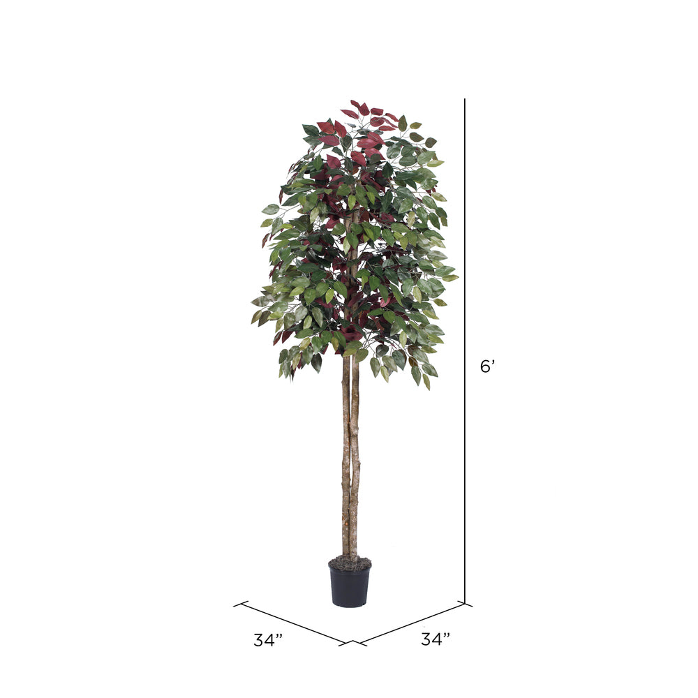 Vickerman 6' Artificial Capensia Black Plastic Pot
