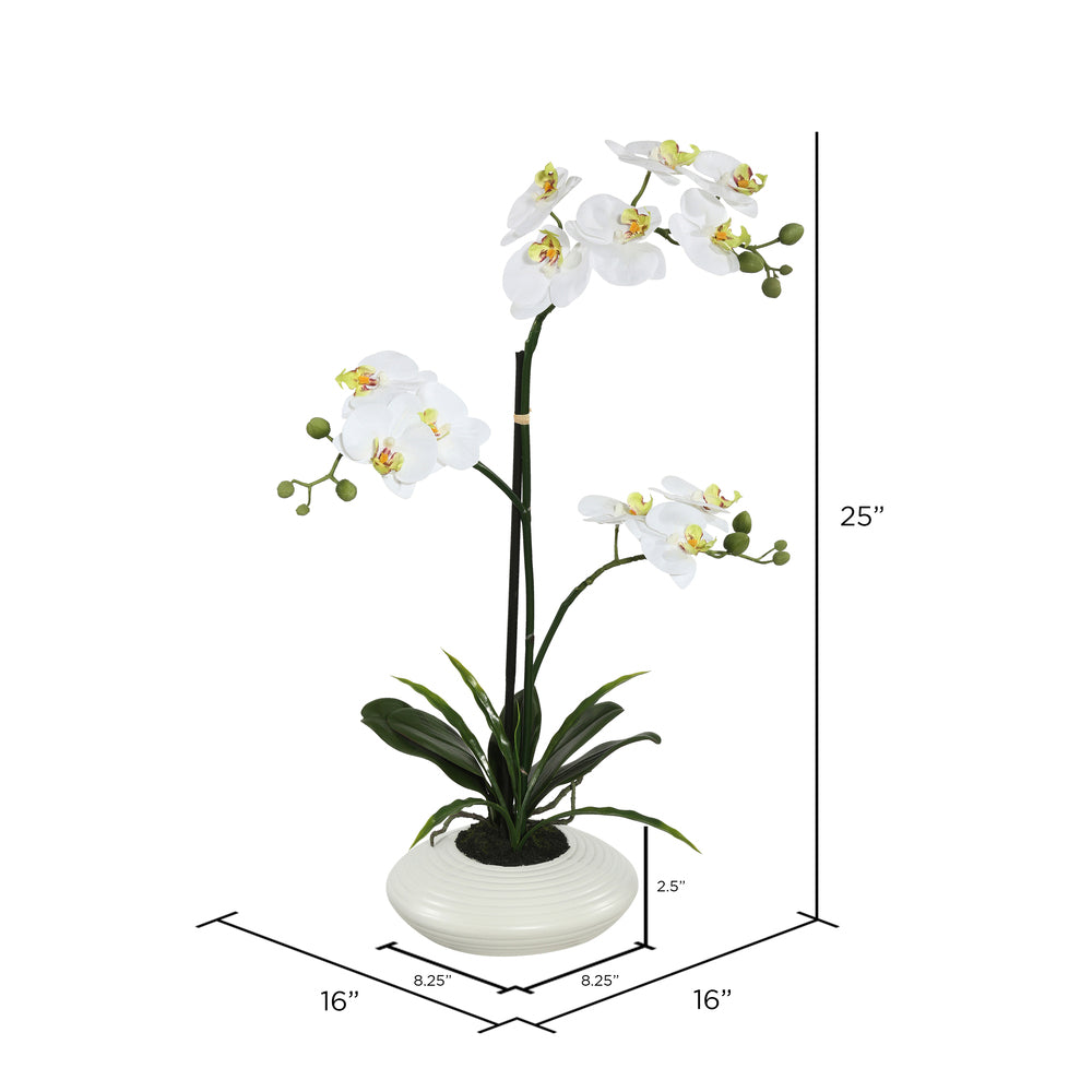 Vickerman 25" Artificial White Orchid.