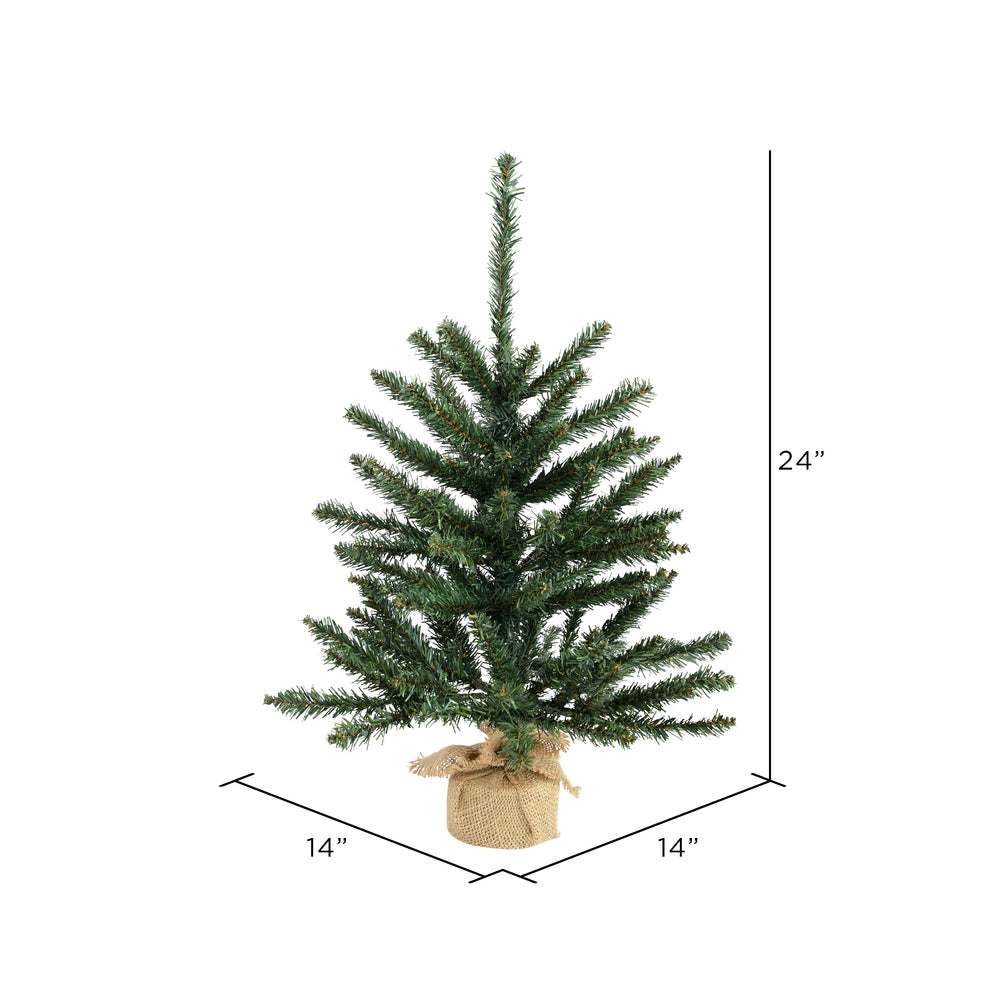 Vickerman 24" Anoka Pine Artificial Christmas Tree Unlit