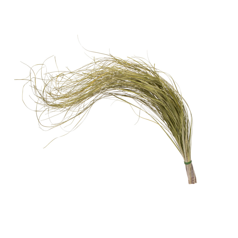 Vickerman 28-32" Dried Bear Grass Field Bunch 2 per pack.