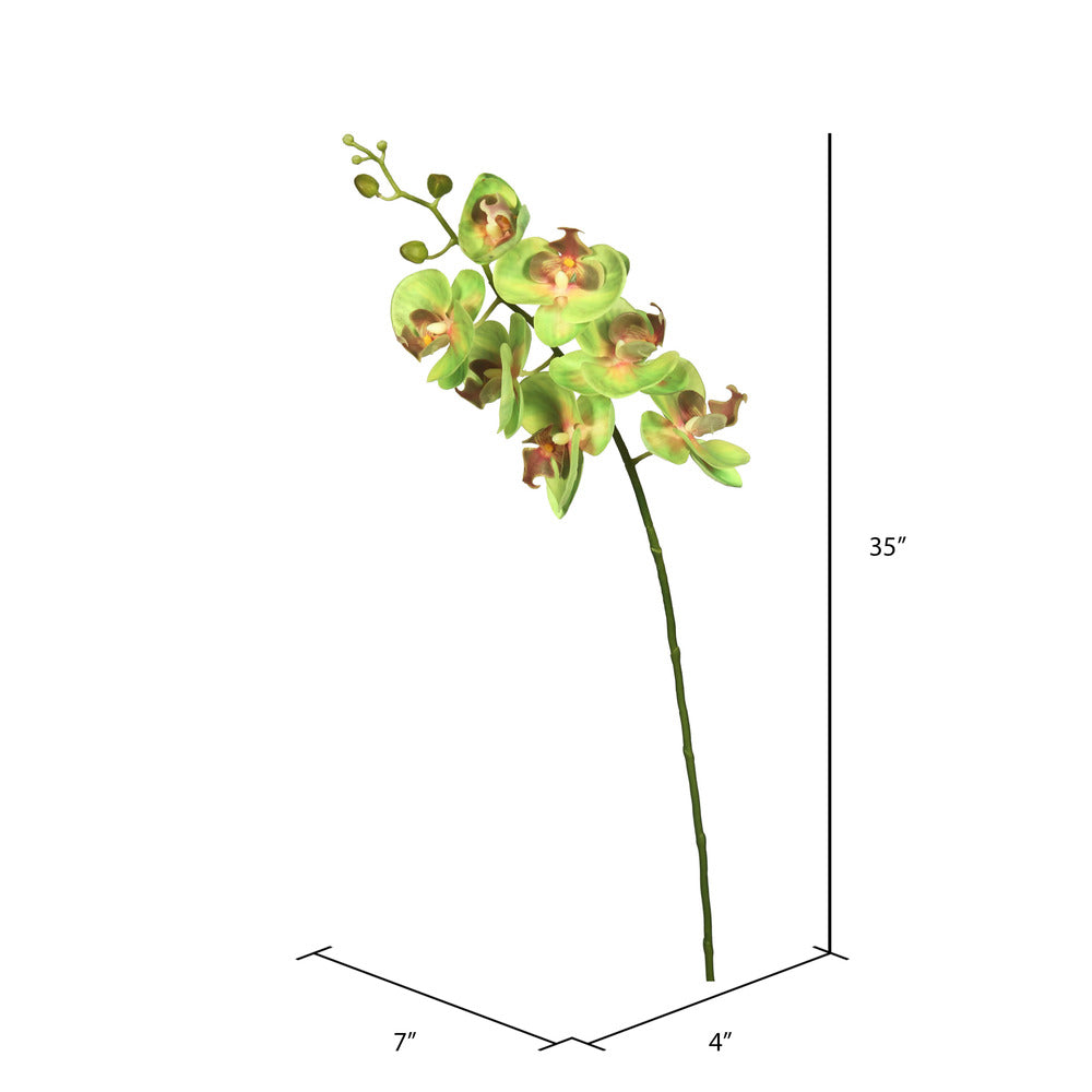Vickerman 35" Green Real Touch Orchid Artificial Floral Stem
