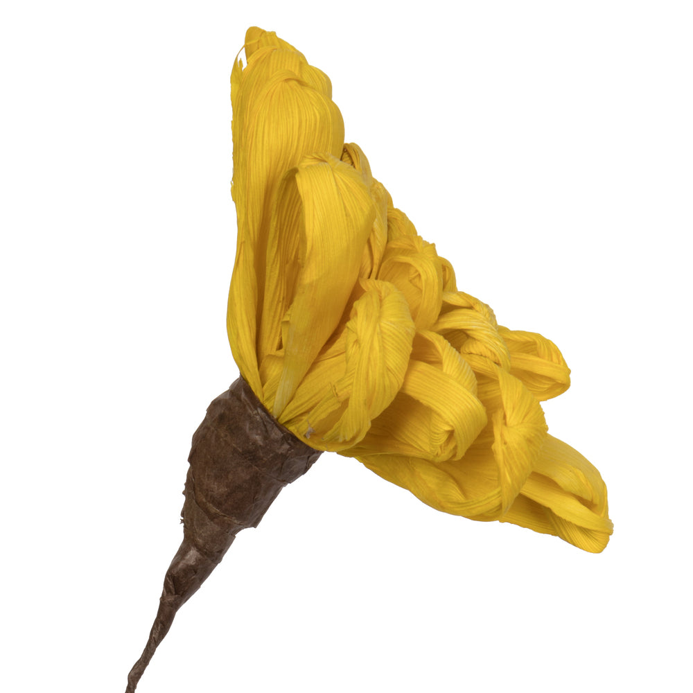 Vickerman Natural Botanicals 6" Yellow Maize Dahlia on 18" wire stem- 6 stem/bag. Peserved.