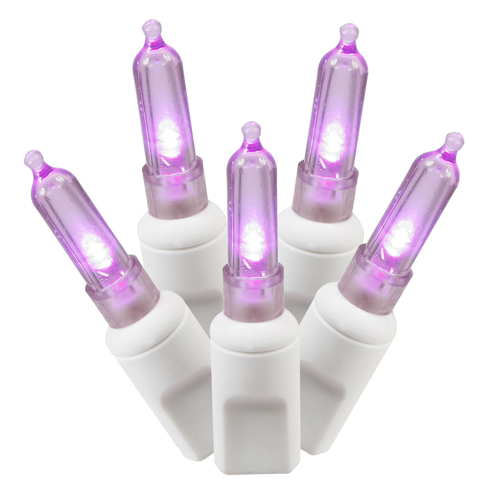 Vickerman 100 Purple Italian LED Single Mold Light on White Wire 34' Christmas Light Strand