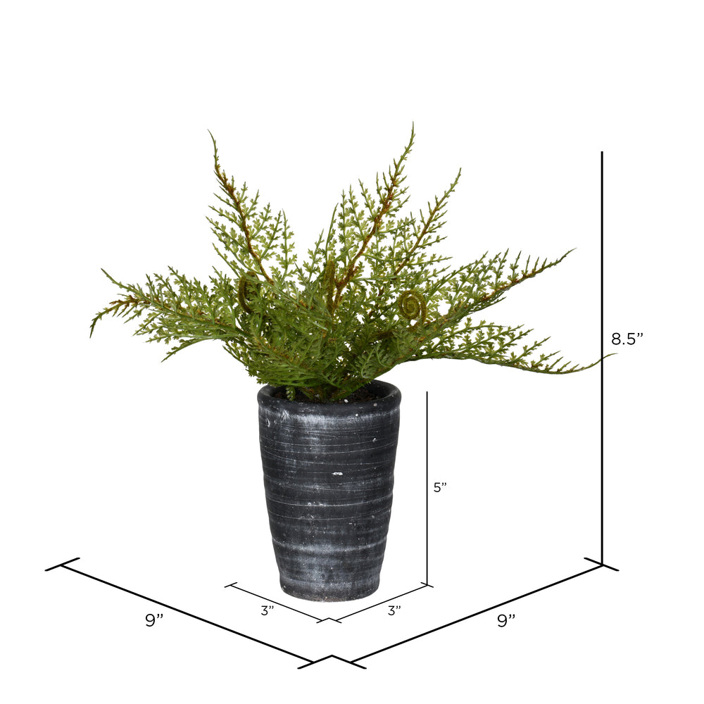 Vickerman 8.5" Artificial Green Potted Asparagus Fern.