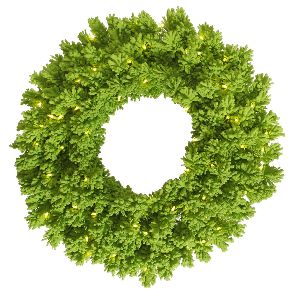 Vickerman 30" Flocked Lime Fir Artificial Christmas Wreath Lime Dura-Lit LED lights.