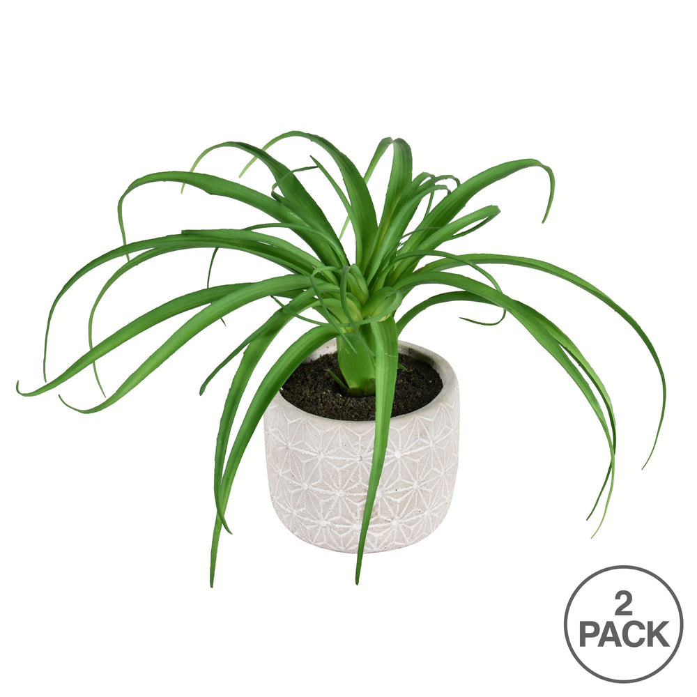 Vickerman 8" Artificial Green Succulent in Container2/pk