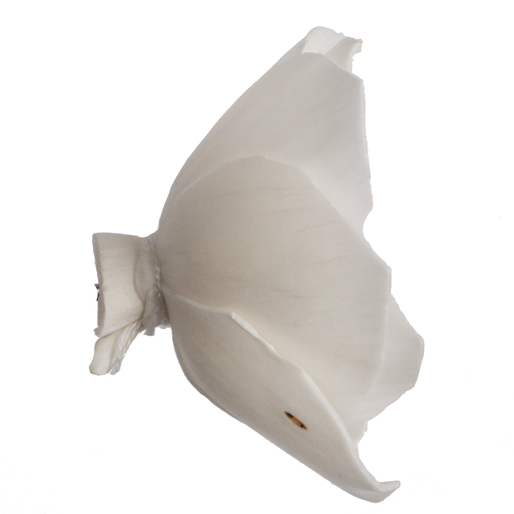 Vickerman Natural Botanicals 1.6"/2.4"/3.2" Assorted Natural Dried Gardenia Sola Flower Head 24/bag.