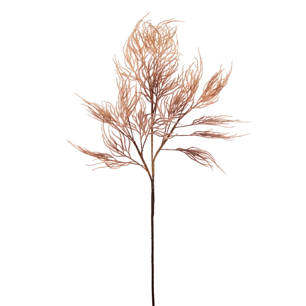Vickerman 33" Light Brown Reed Spray Bundle 2 per bundle.