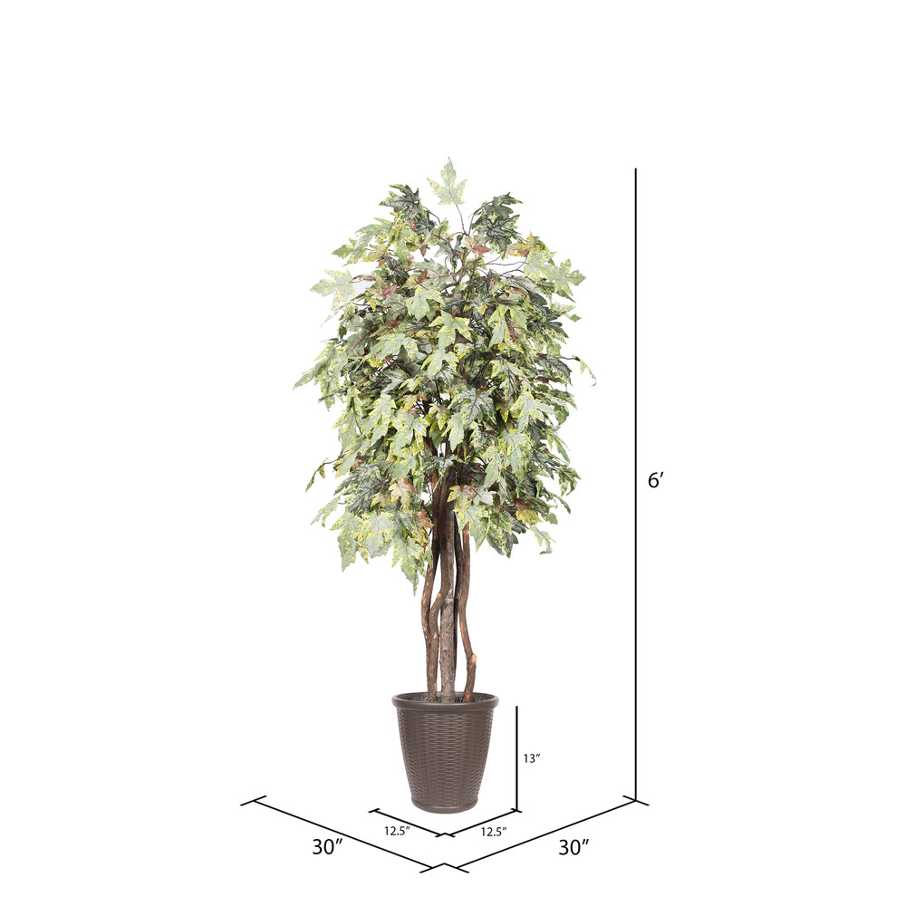 Vickerman 6' Artificial Frosted Maple Executive Tree Brown Round Plastic Container.