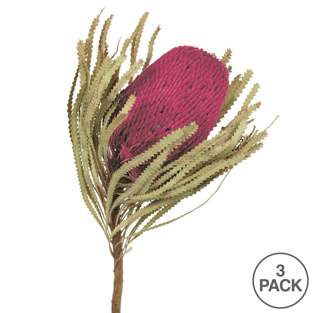 Vickerman 12" Jumbo Purple Orchid Banksia Flower with Stem. Includes 3 Stems per Pack. Dried