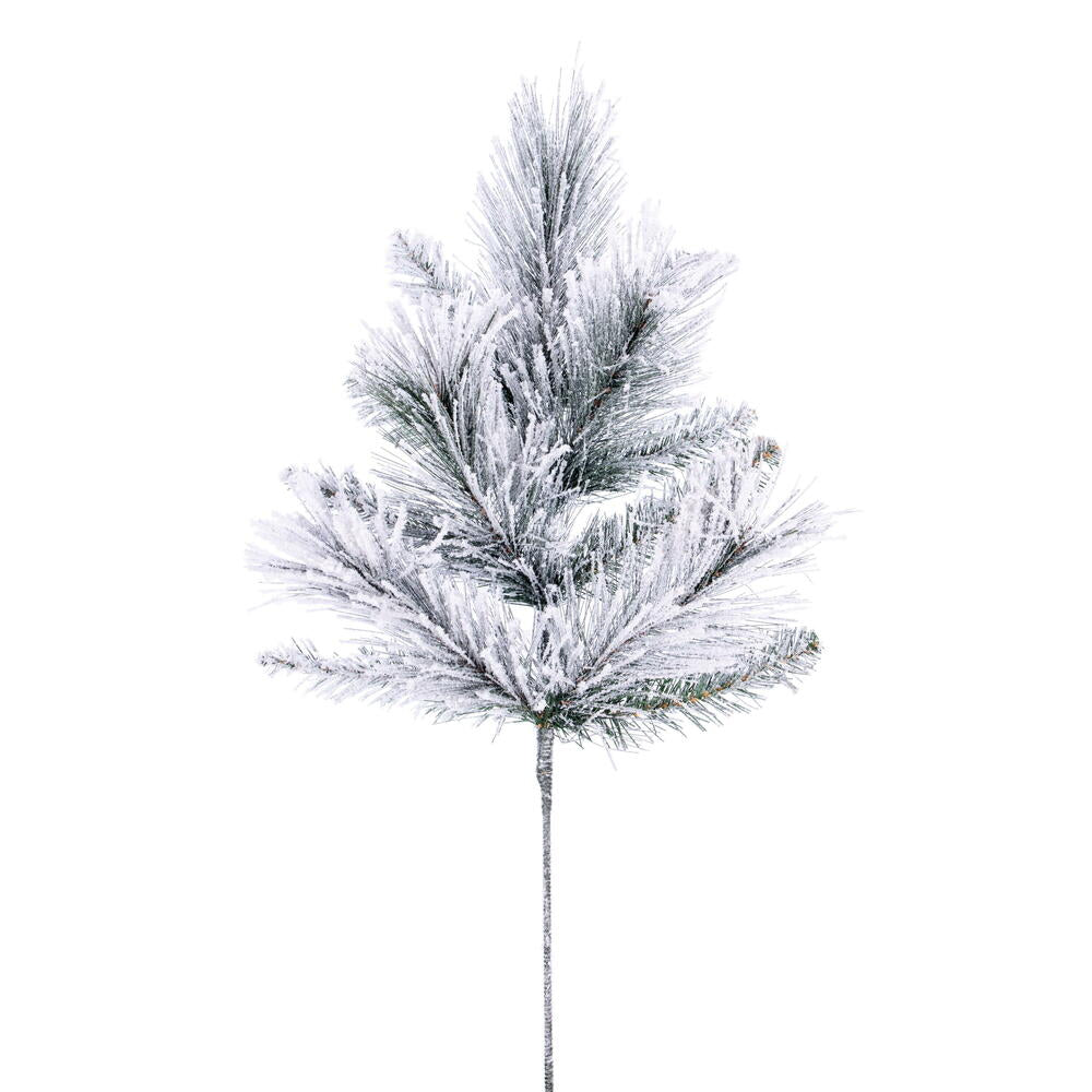 Vickerman 24" Flocked Jackson Pine Spray.