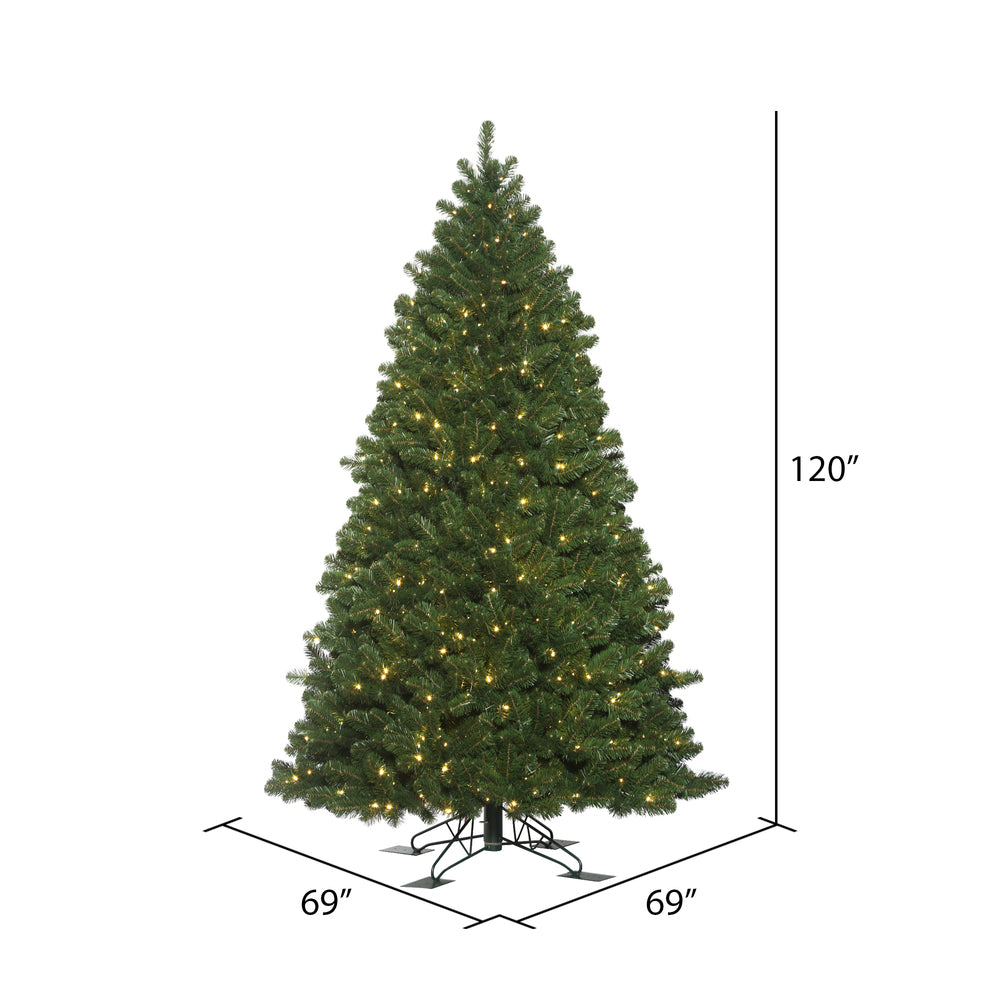 Vickerman 10' x 69" Oregon Fir Outdoor Artificial Christmas Tree Warm White Wide Angle LED Lights