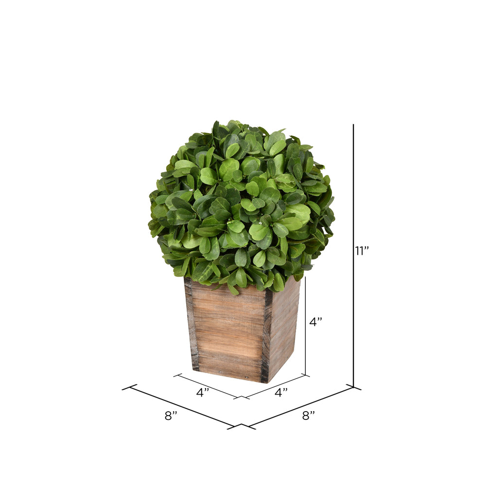 Vickerman 11" Artificial Potted Boxwood Ball in Wooden Pot.
