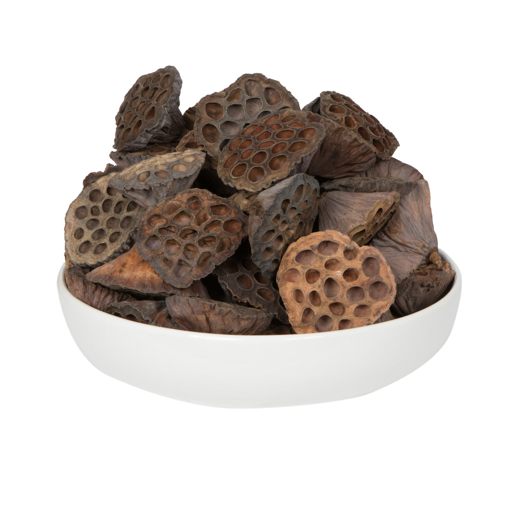 Vickerman Natural Botanicals 3.2"-4" Lotus Pod Large. Includes 70 pieces per Pack.