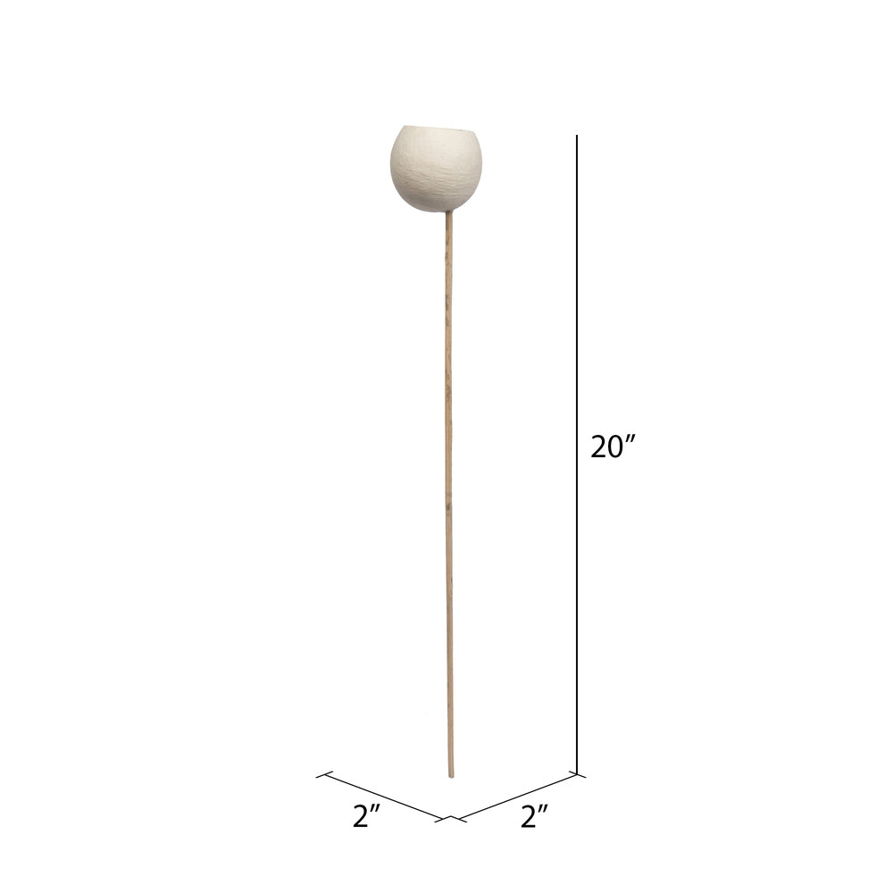 Vickerman Natural Botanicals 20" Bell Cup Bleached on Stem. Includes 40 Stems per Pack.