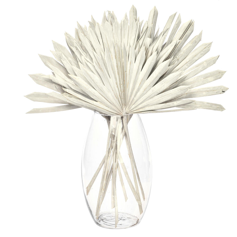 Vickerman Natural Botanicals 13.75 - 19.5" White wash Dried Palm Sun Spear 12 per bag.