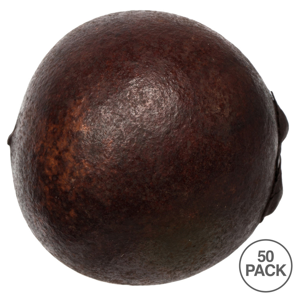 Vickerman 1-2" Brown Quinto Ball Vase Filler 50 per Box Dried