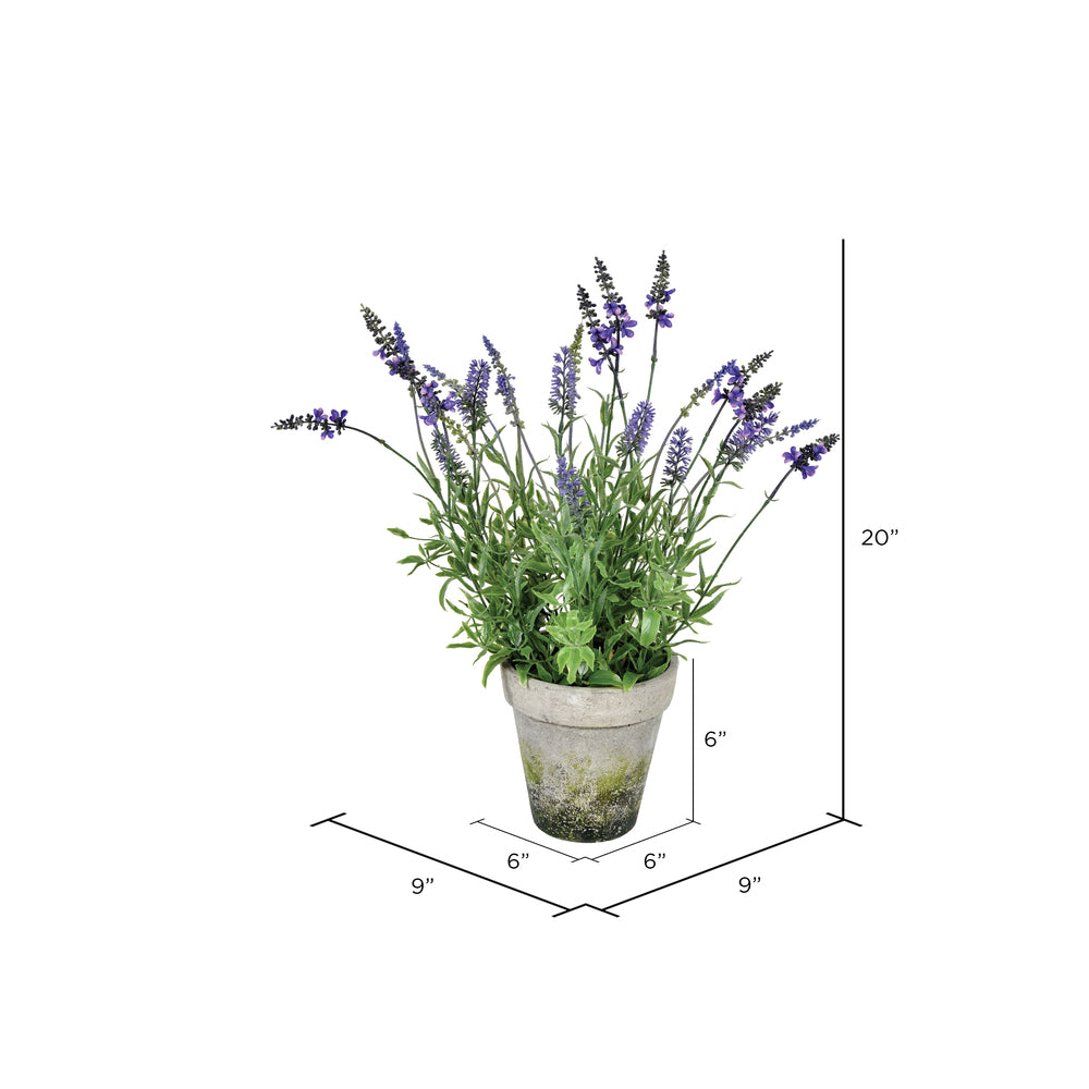 Vickerman 20" Artificial Lavender in Cement Pot.