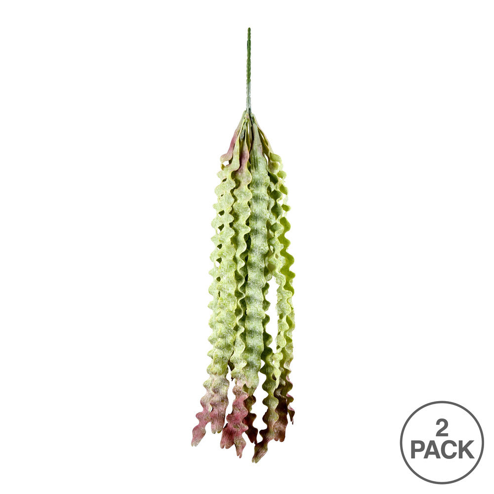 Vickerman 22" Artificial Green Seatangle Plant 2/pk