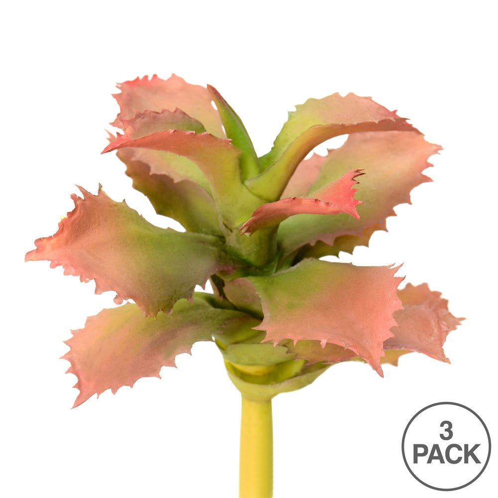 Vickerman 5" Artificial Red and Green Adromischcus Pick Set of 3
