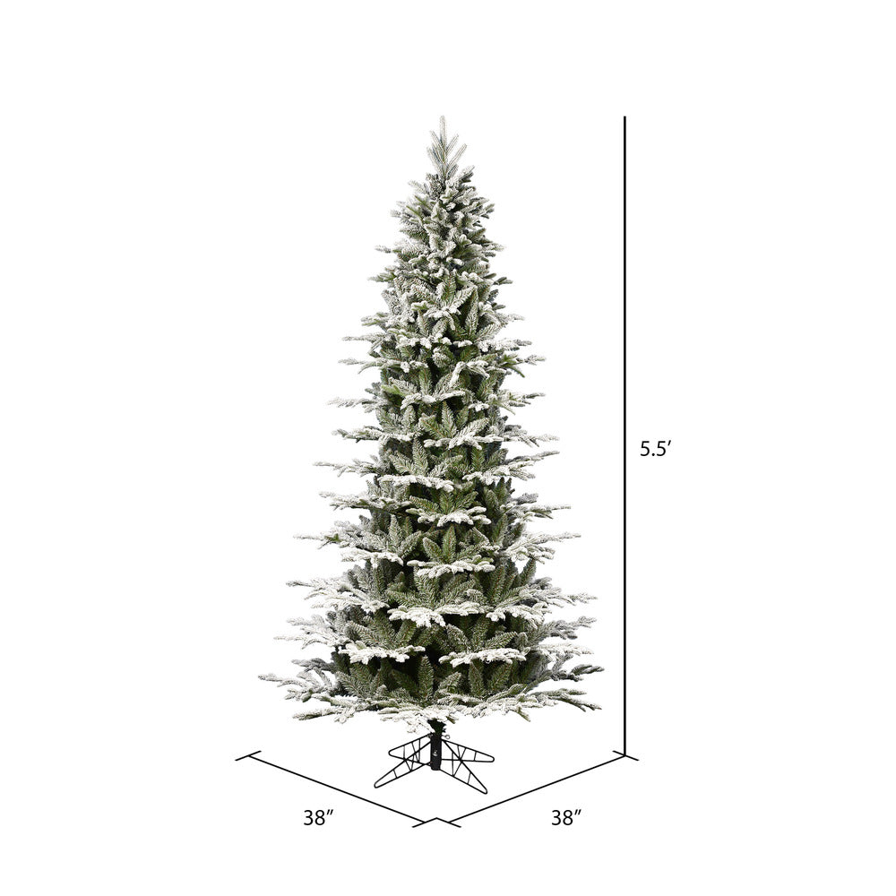 Vickerman 5.5' x 38" Flocked Kamas Fraser Slim Artificial Christmas Tree Unlit