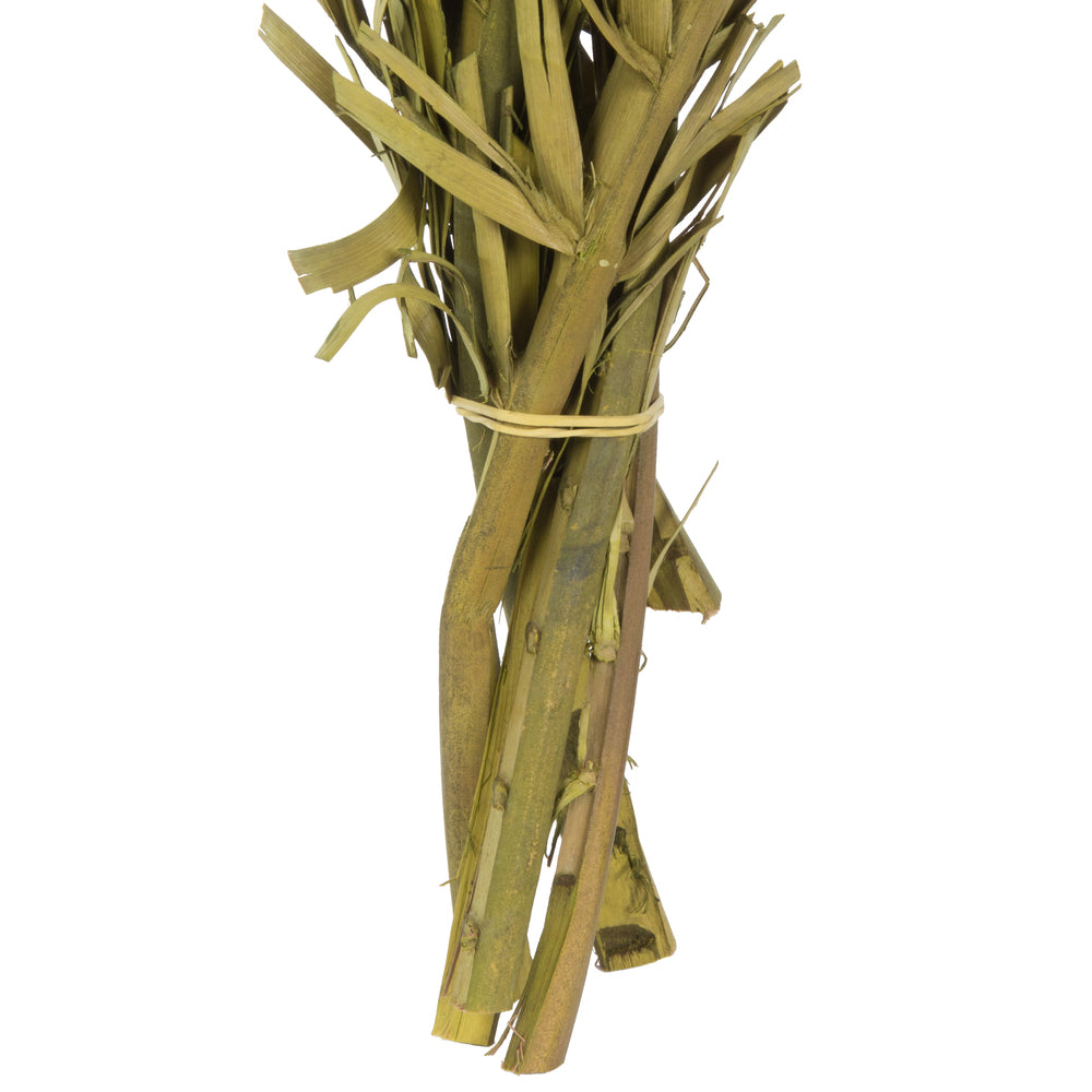 Vickerman 40-48" Basil Coco Palms - Twisted 6 stems Dried