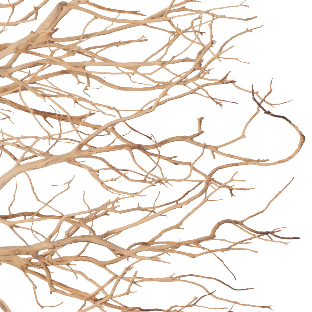 Vickerman Manzanita Tree Sand Blasted 36" Dried