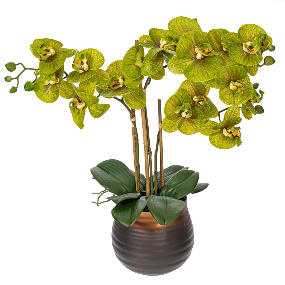 Vickerman 22" Artificial Potted Real Touch Green Phalaenopsis Spray.