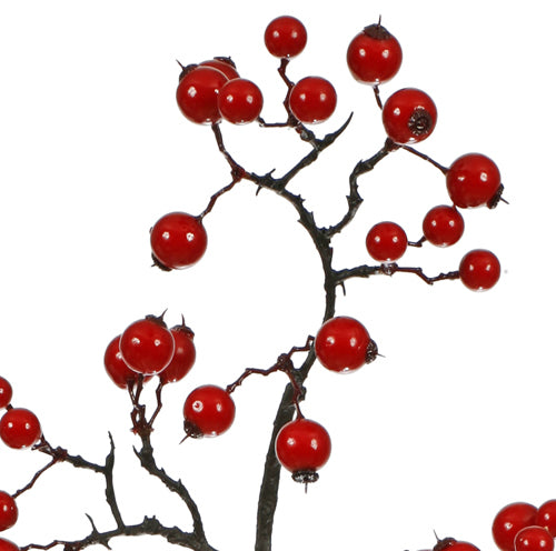 Vickerman 22" Red Mixed Berry Artificial Christmas Wreath Unlit