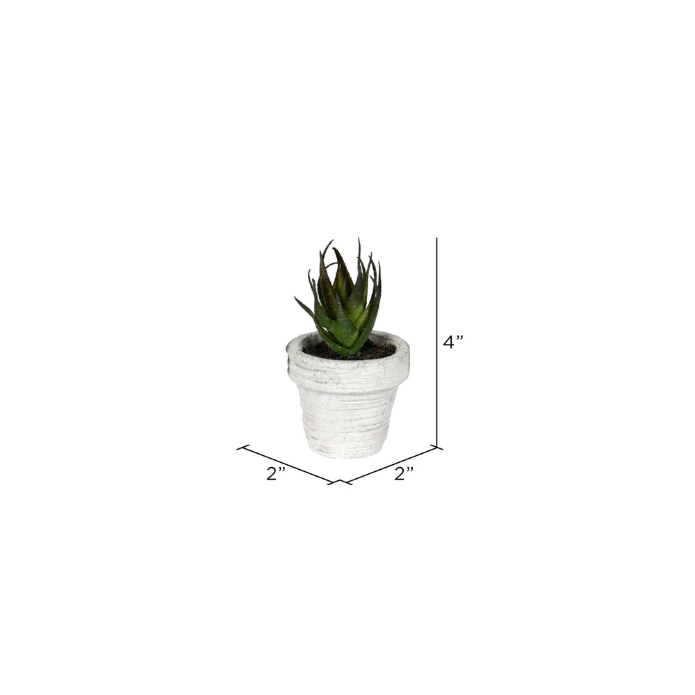 Vickerman 4" Artificial Assorted Potted Succulents Set of 6.