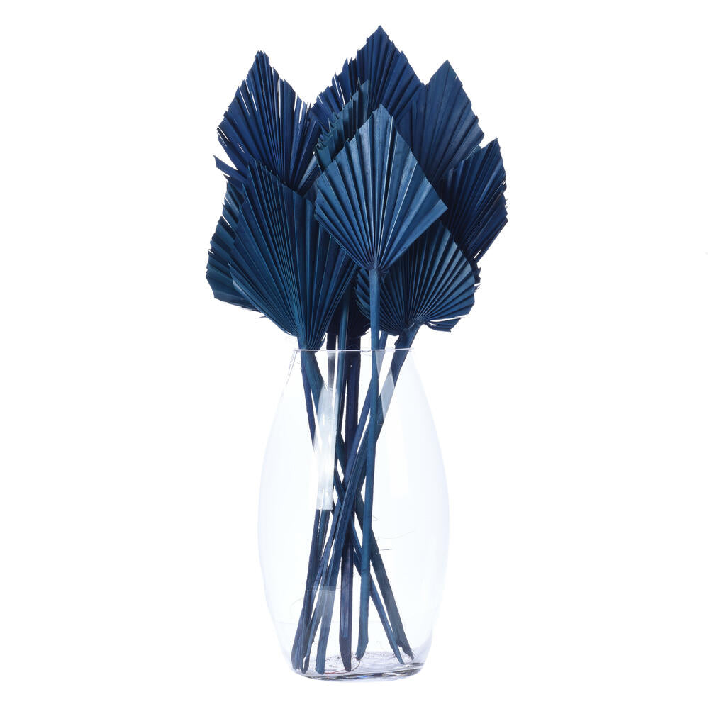 Vickerman Natural Botanicals 13.75 - 19.5" Midnight Blue Dried Palm Sun Spear 12 per bag.