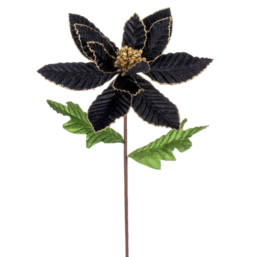 Vickerman 22" Black Velvet Glitter Trim Poinsettia 6 per bag.