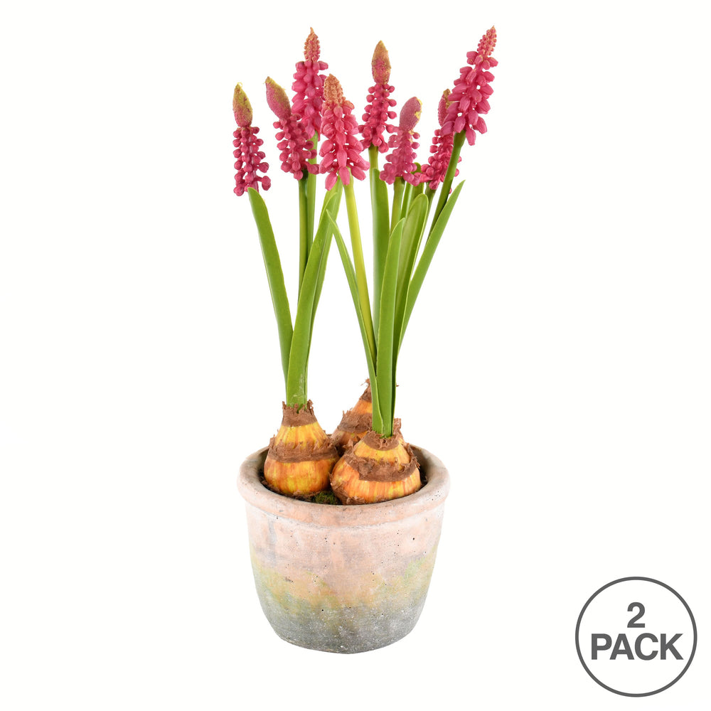 Vickerman 10" Artificial Mauve Hyacinths in Container Pack of 2