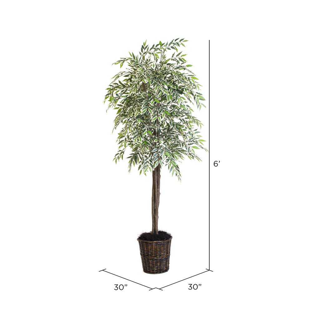Vickerman 6' Artificial Varigated Smilax Deluxe Black Plastic Pot