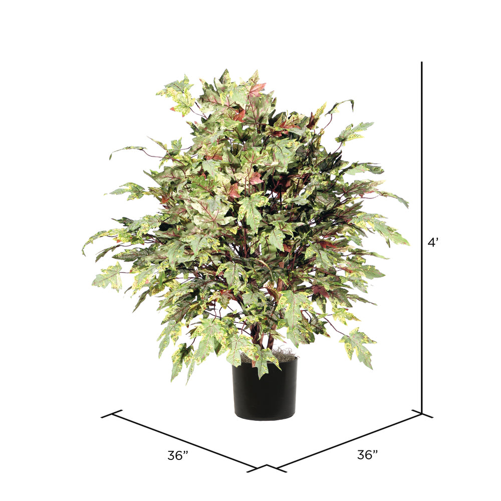 Vickerman 4' Artificial Frosted Maple Extra Full Bush Black Plastic Pot.