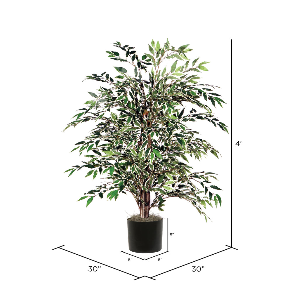 Vickerman 4' Artificial Variegated Smilax Bush Black Plastic Pot.