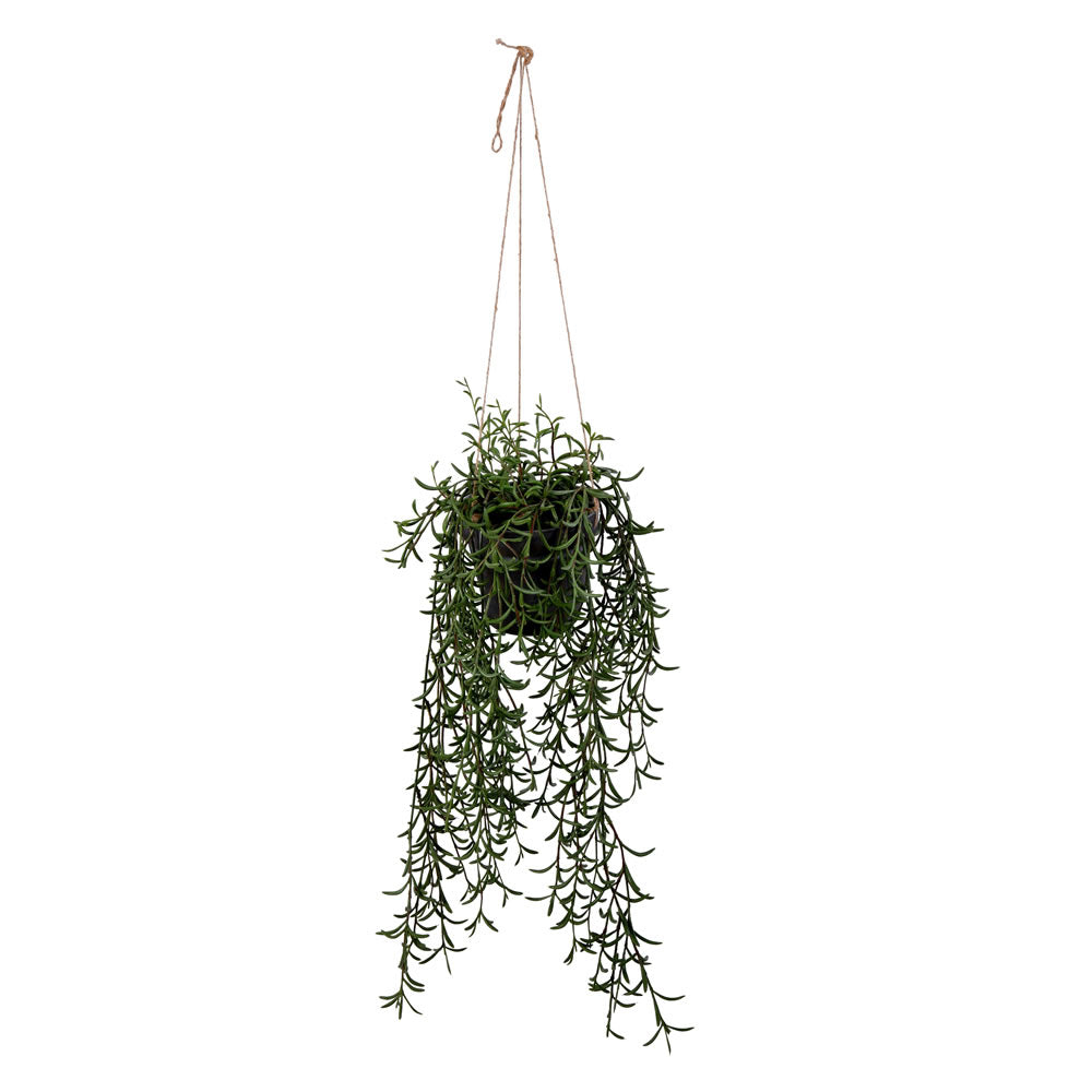 Vickerman 22" Artificial Green Plastic Grass Hanging Pot.